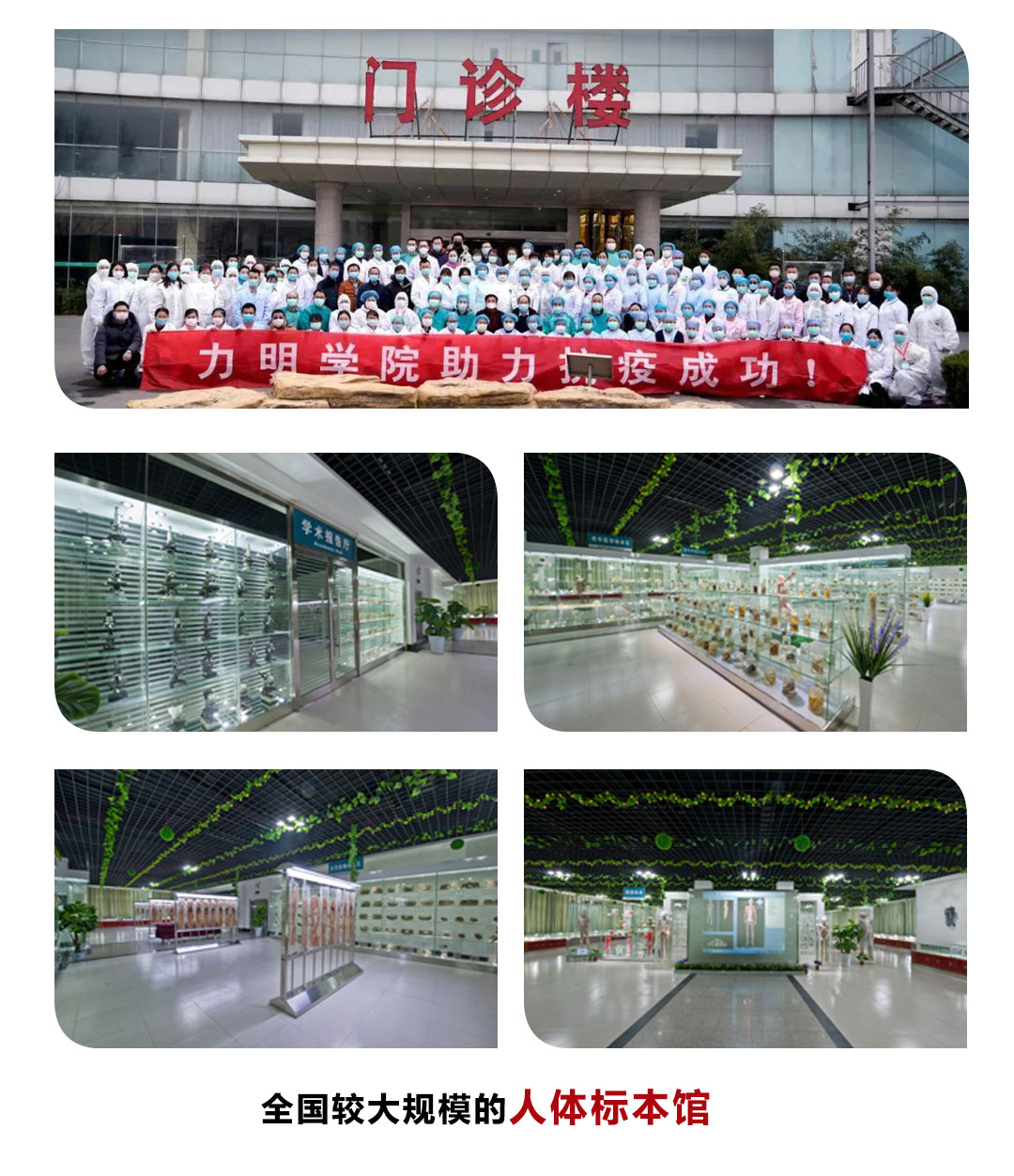 2025年招生简章|山东力明学院职教高考升学班面向初中毕业生招收医学生