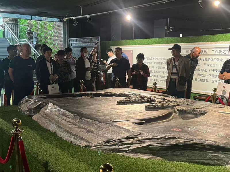 力明学院中职招生火爆|吸引来自全国各地考生及家长来校参观报名