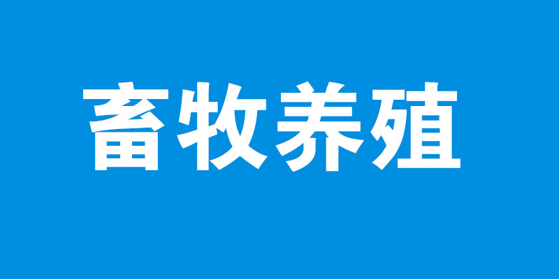 畜牧养殖