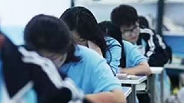 2026年春季高考|高职单招|综合评价集训招生简章